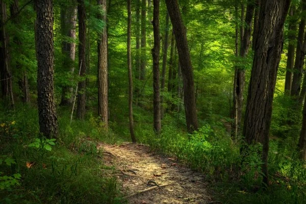 Photo of Tom and Jane Dustin, Robert C. and Rosella C. Johnson and Whitehurst Nature Preserves