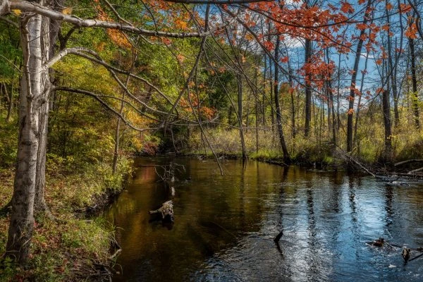 Photo of Fawn River Nature Preserve