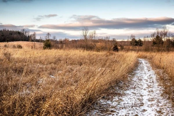 Photo of Kauffman Nature Sanctuary