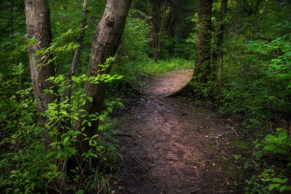 Photo of Mengerson Nature Reserve