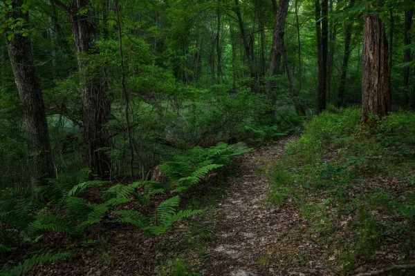 Photo of Ropchan Memorial