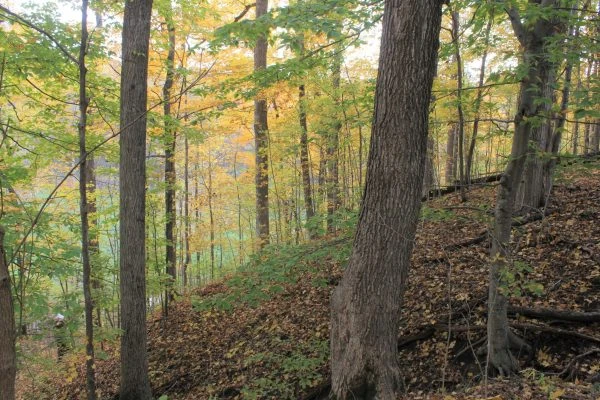 Photo of Vandolah Nature Preserve