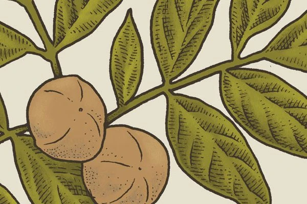 close up of artist Josie Quack's artpiece for the Wing Haven project.