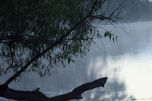 Fog hovers above the water at Ball Lake Nature Preserve