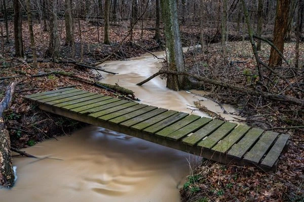 a stream runs under a wooden boardwalk during the winter months