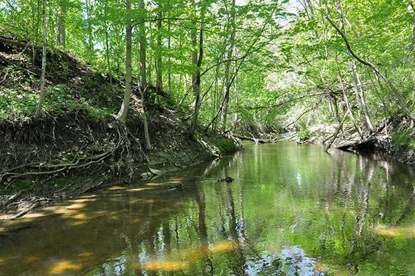 view of the creek at Heinzerling Family Five Points Nature Preserve