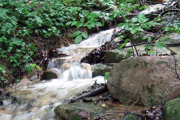 looking upstream at the Kokiwanee waterfall
