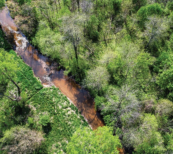 Black Creek at Hainerzerling-Ditmer Natural Area