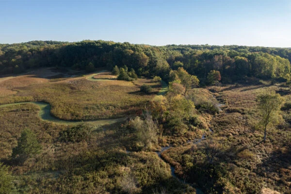 Photo of Jesse & Agnes Riegsecker Natural Area