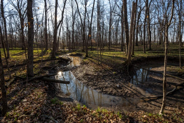 Photo of Thoreau Wildlife Reserve