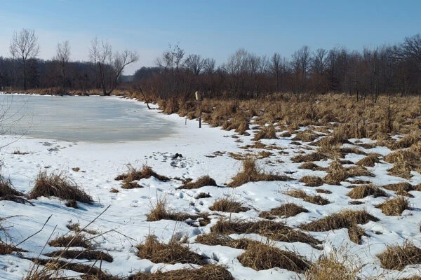Photo of Thoreau Wildlife Reserve
