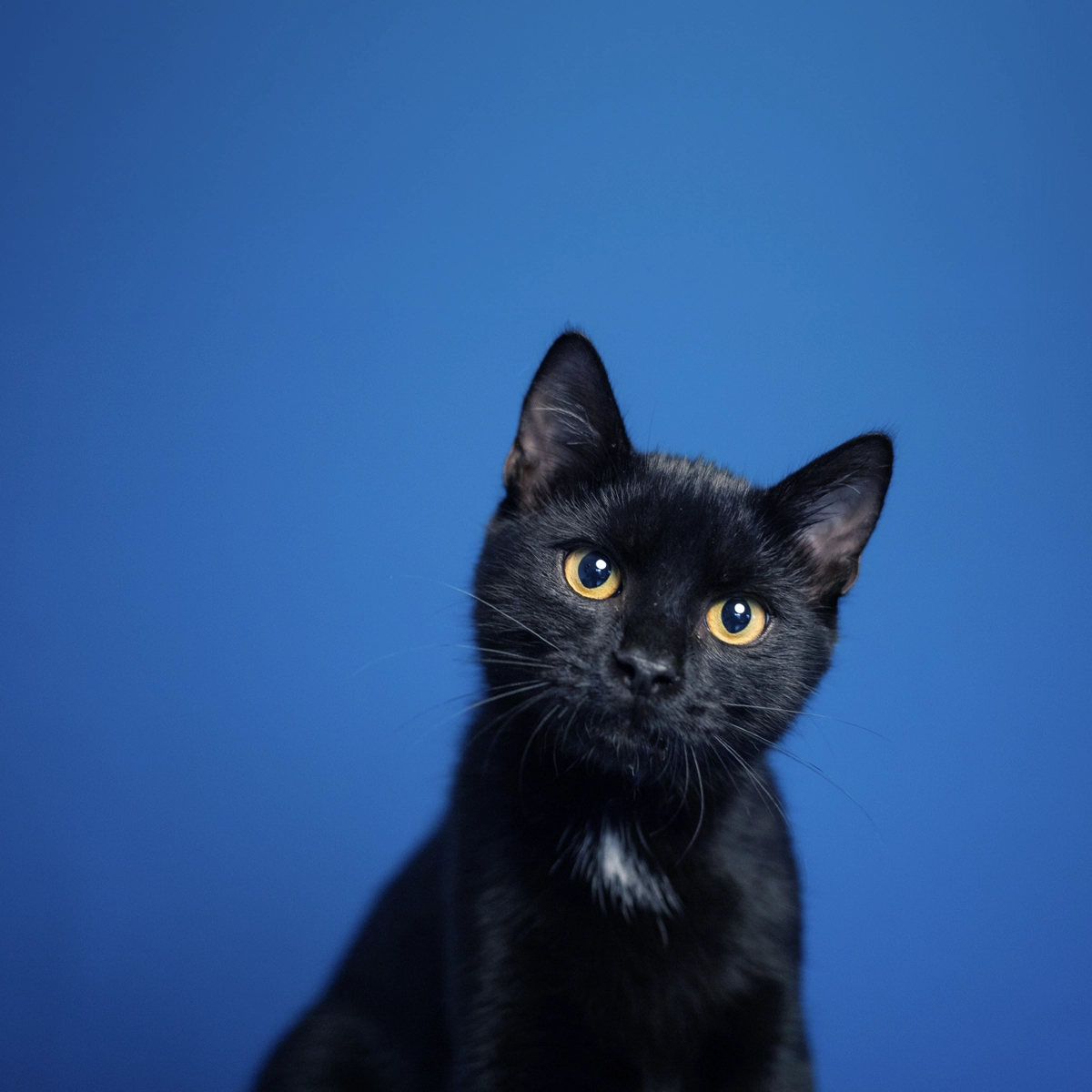 Square-images-3