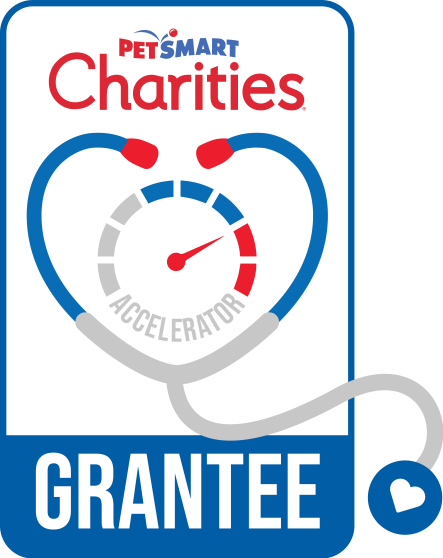 PCI_Accelerator_Grantee Badge_US_REL - Copy PCI_Accelerator_Grantee Badge_US_REL - Copy