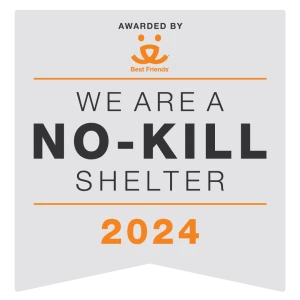 250249-NoKillBadge24-Gray-dc (1)