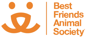 bfas_logo_footer