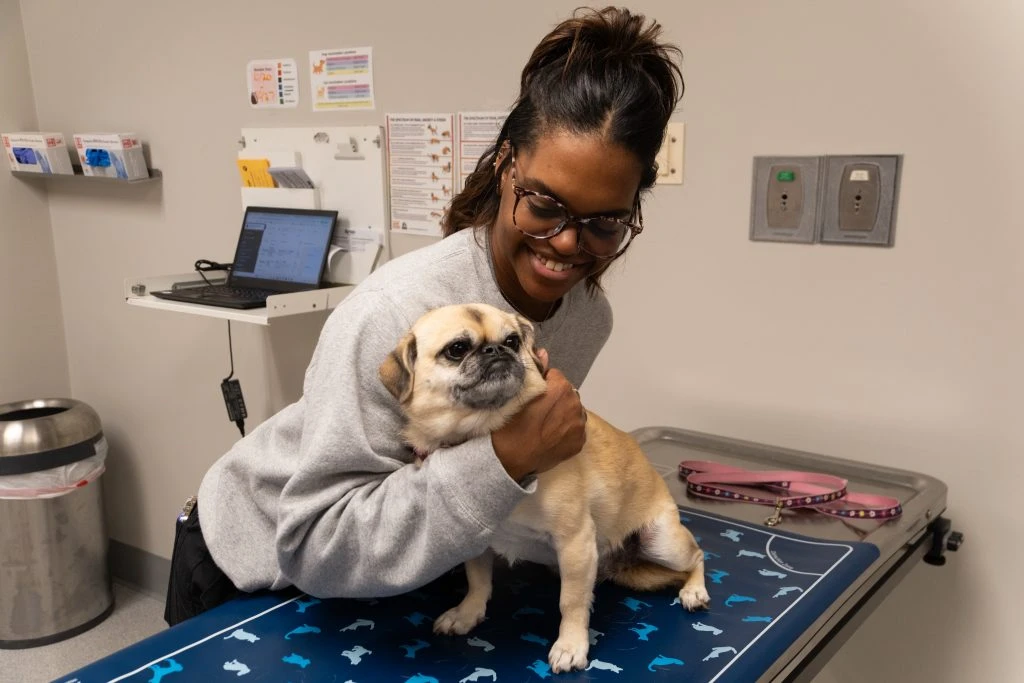 staff and pug-09