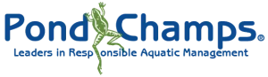 Pond Champs Logo and slogan w vector frog-01 Pond Champs logo