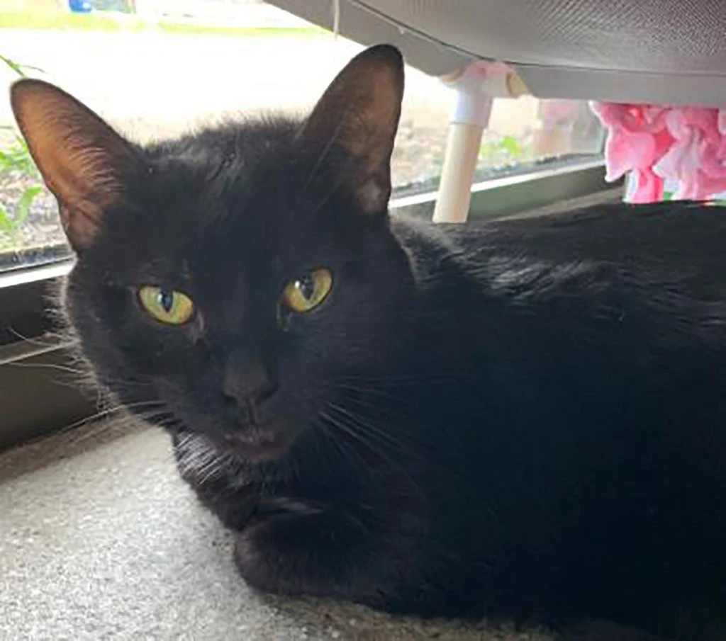 Mia Wallace, the Wallflower