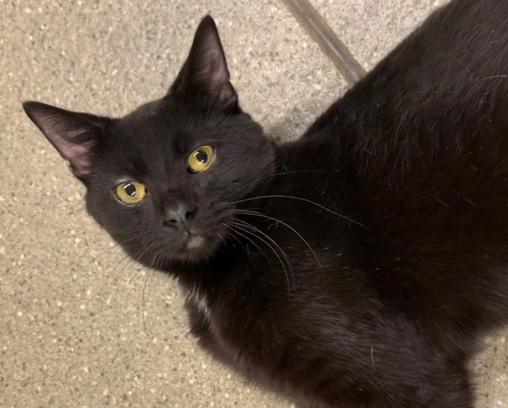 Paging Doctor Barber!