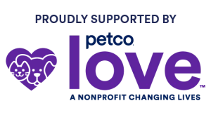 Website Badge - Color