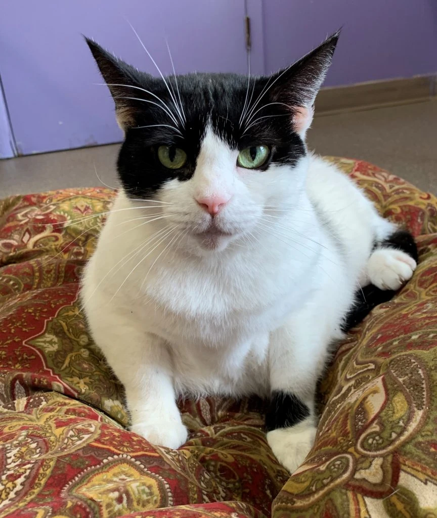 Nefertiti, Queen of the Lobby!