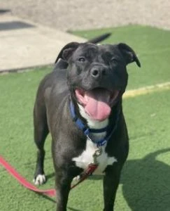 1dfb8982-faf3-4cef-af0e-e486134f6fb9