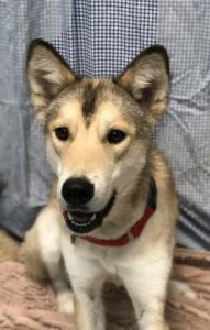 244a0f63-0f08-4862-b5b2-86080c36489e