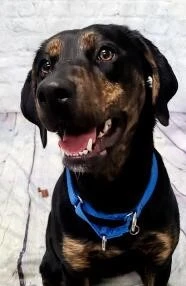 6a13c491-513f-4cbf-b48a-6dd164a7e2fe