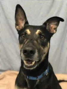 b8564c58-6213-4f2b-885c-6f25c0938c96