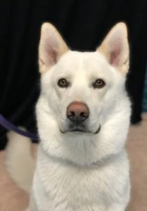 f7a064c4-3bd8-46d8-a9bd-e18c6d7f3894