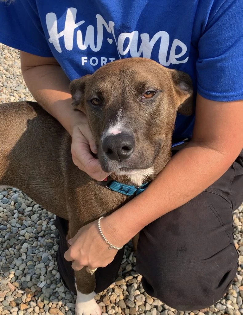 Brighten Up Your Life With Marjolaine!