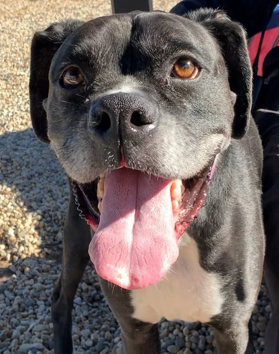 Say Cheese And Smile With Elan!