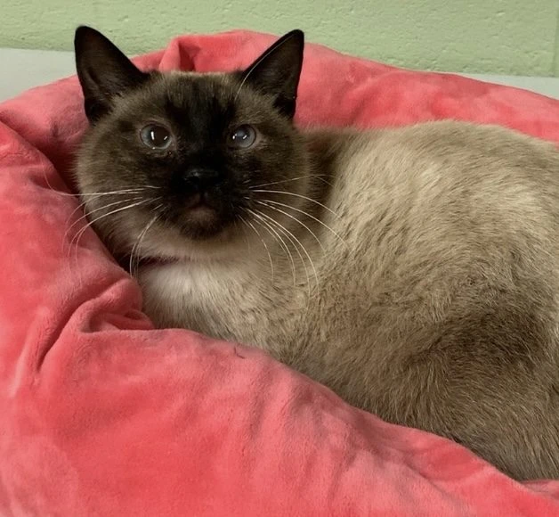 Margo's Magnificent Life