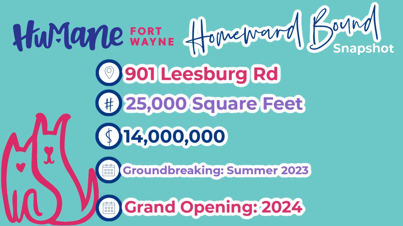 Campaign Snapshot copy