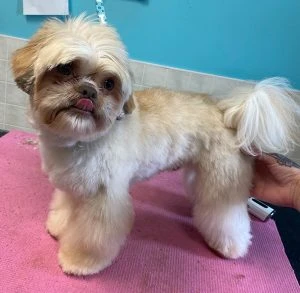 Ralphie-GraceMoroney