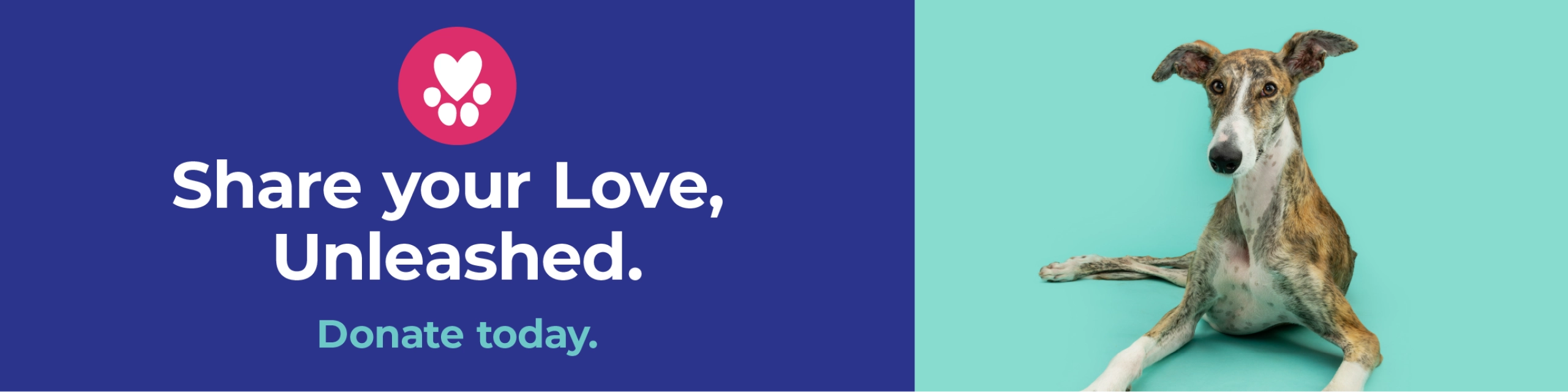 Grey Hound with text that reads, "Share your Love, Unleashed. Donate today."