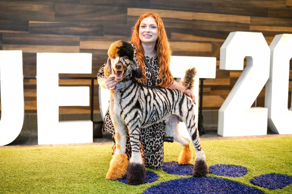 Pawject Highlights-31