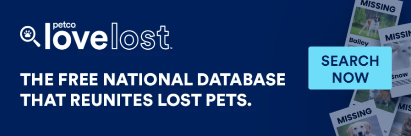 Web_1920_Article_page