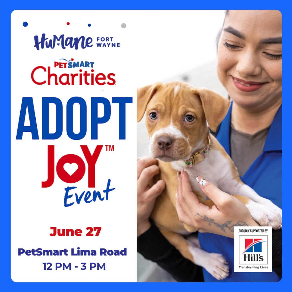 Adopt Joy June 27