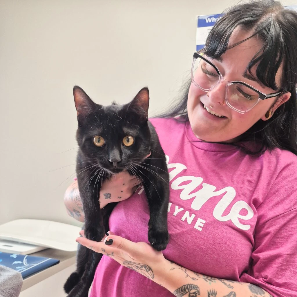 mak cat vax clinic Woman holding a black cat in vet exam room