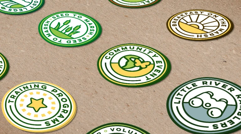 Images of badges and branding examples