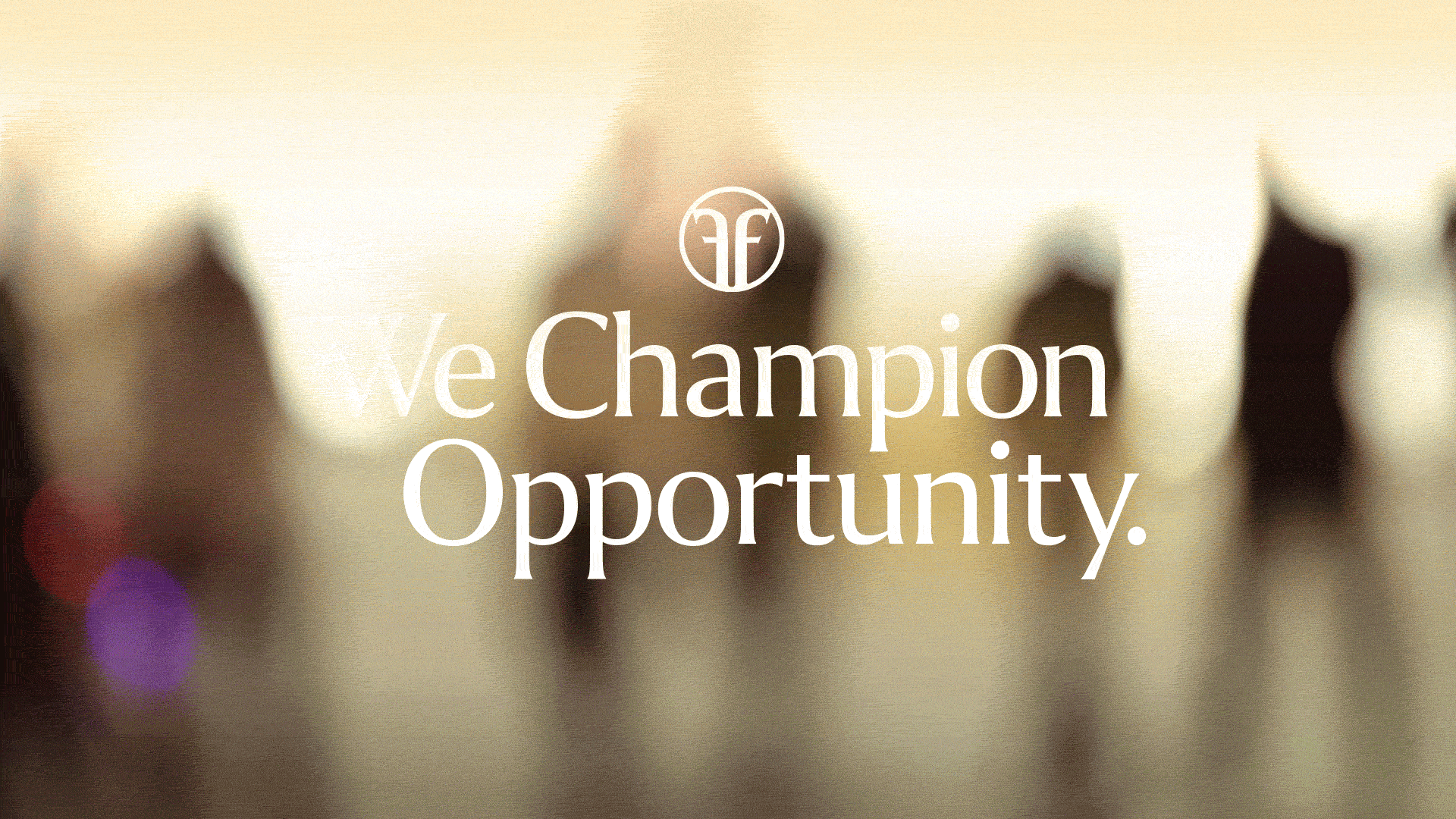 Foellinger Foundation brand platform