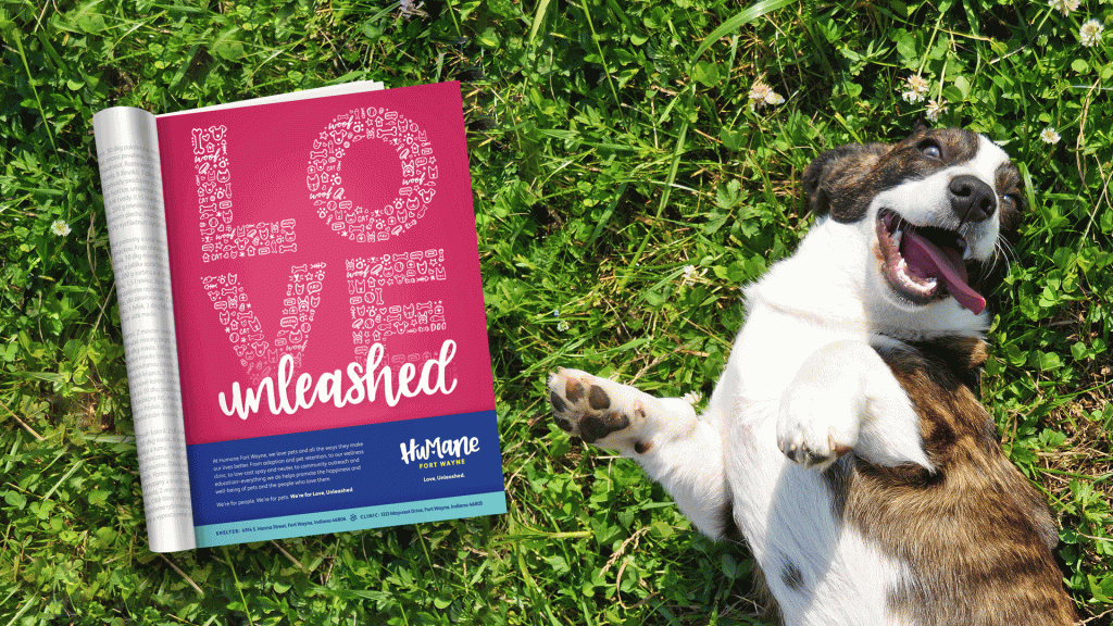 Humane Fort Wayne print ad mockup with dog on grass