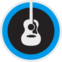 illustration of guitar