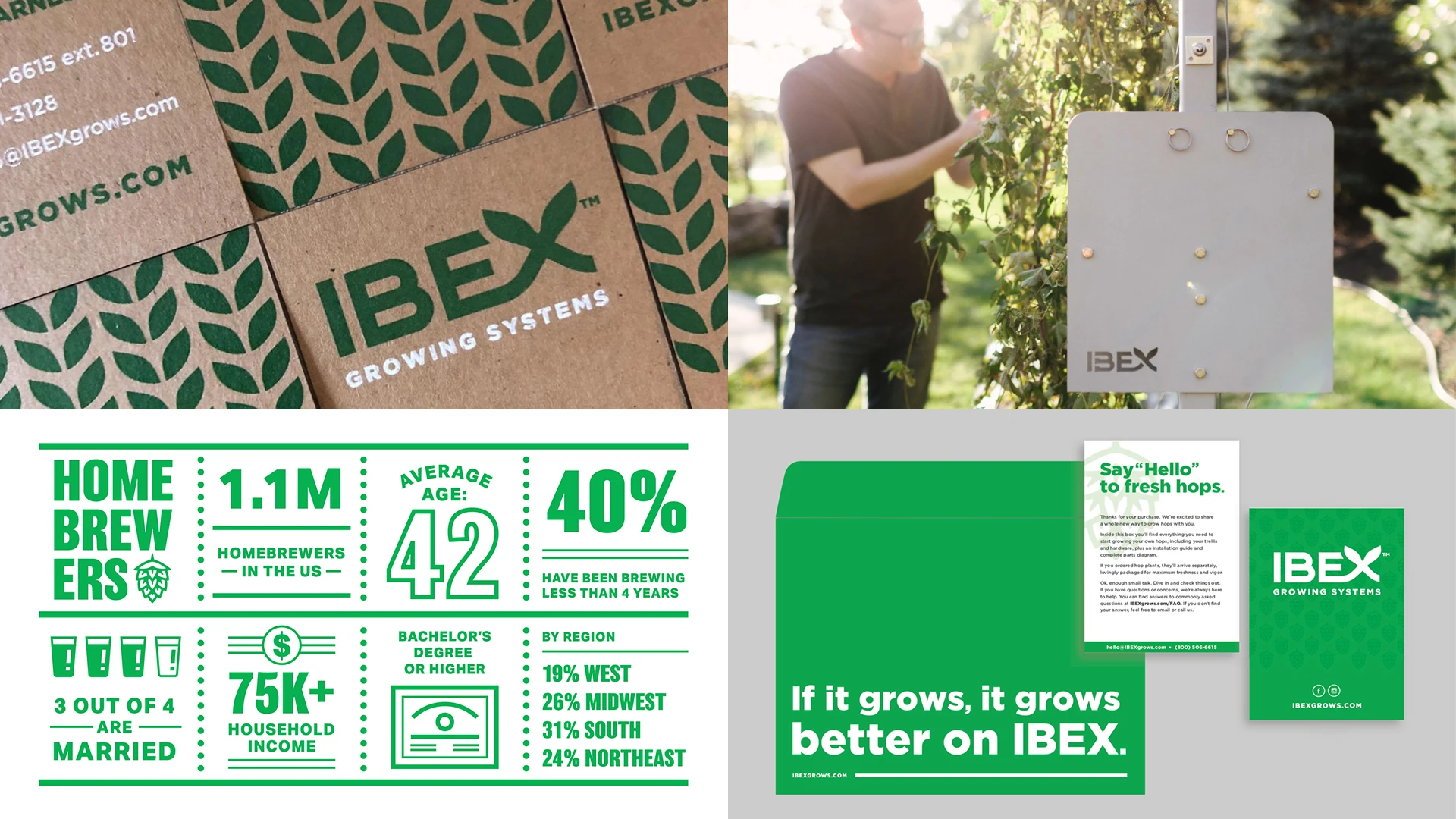 IBEX Growing Systems branding assets