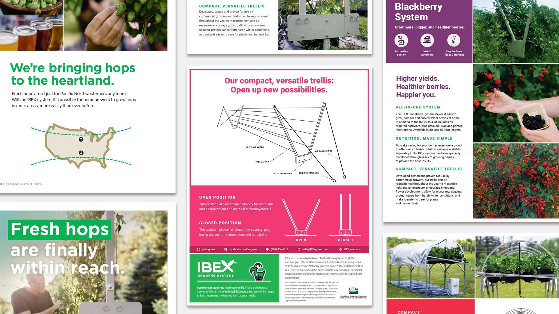 IBEX Growing Systems mockup assets