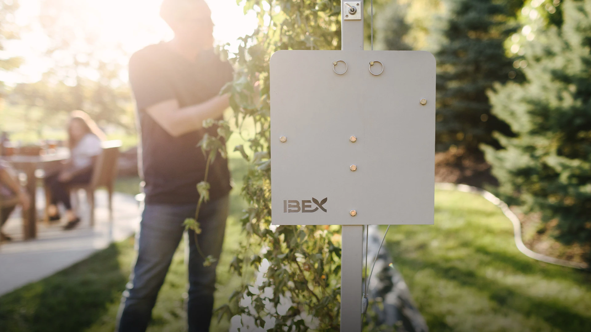 man working at IBEX farm