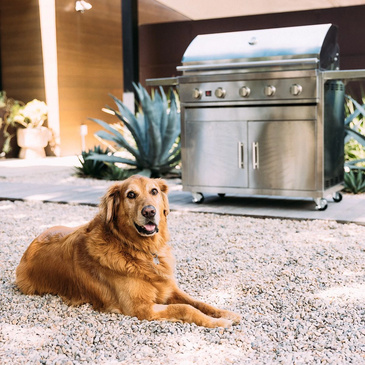 Golden retriever resting on a gravel patio beside a Summerset Sizzler 40-inch freestanding gas grill with the hood closed
