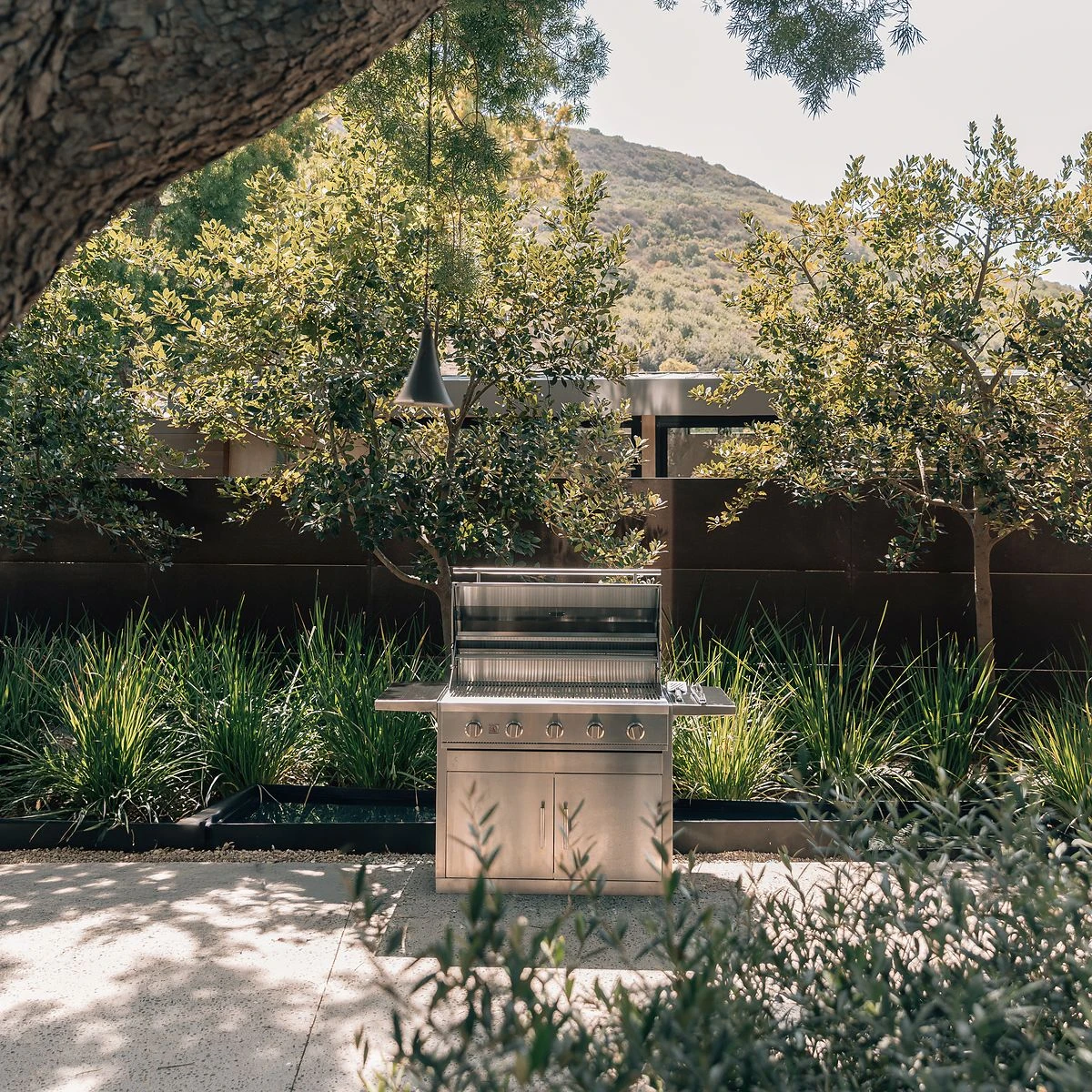 Summerset Sizzler 40-inch freestanding gas grill with the hood open, set among ornamental grasses and olive trees on a landscaped patio